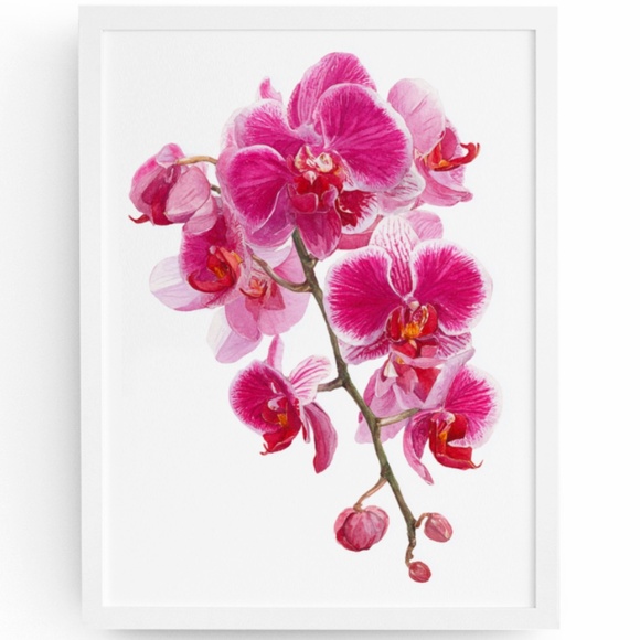 Watercolor Pink Orchids Wall Art Print Unframed - Elegant Floral Serenity - Picture 1 of 6